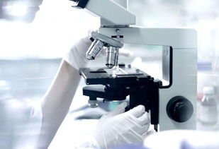 告別過去，2019重新出發 機械設備行業的轉型與機遇