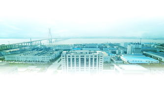 研發(fā)驅(qū)動產(chǎn)品競爭力 大博文在保鮮劑環(huán)保節(jié)能技術(shù)開發(fā)中的實踐與突破